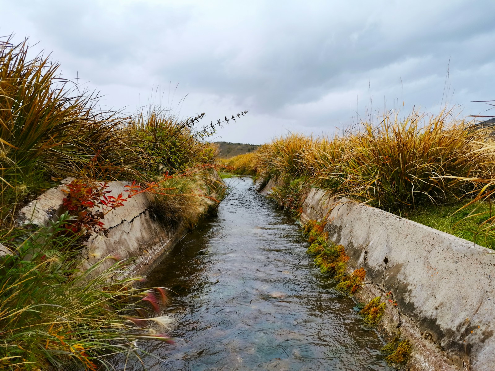 a stream running through a lush green field